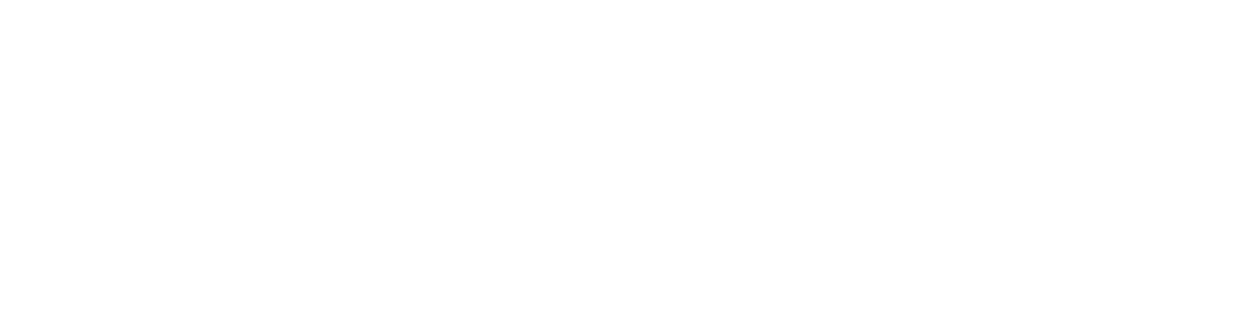 Preferred Networks